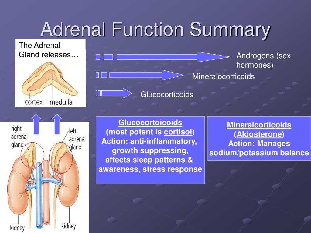 PPT Emergency Care Addisonian Crisis & Adrenal Insufficiency PowerPoint Presentation ID1212974