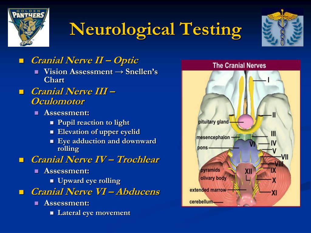 PPT Evaluation of Eye Pathologies PowerPoint Presentation, free