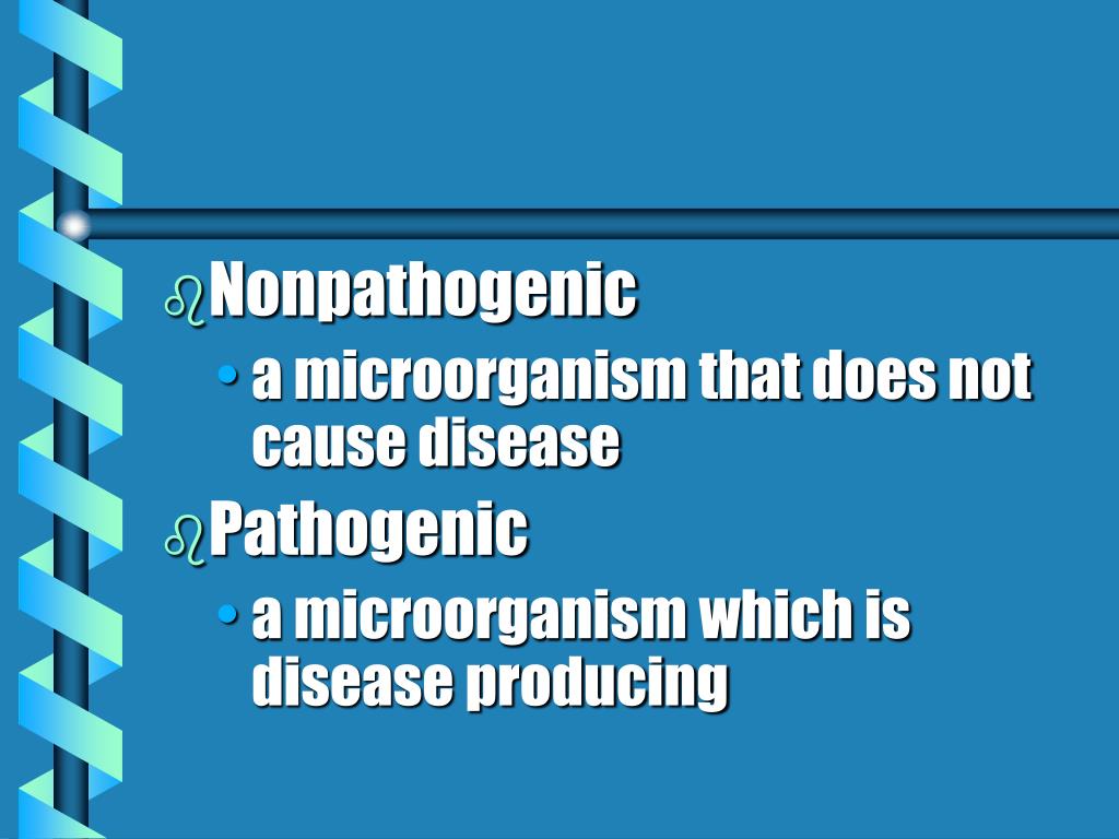 PPT Infection Control PowerPoint Presentation, free download ID1219808