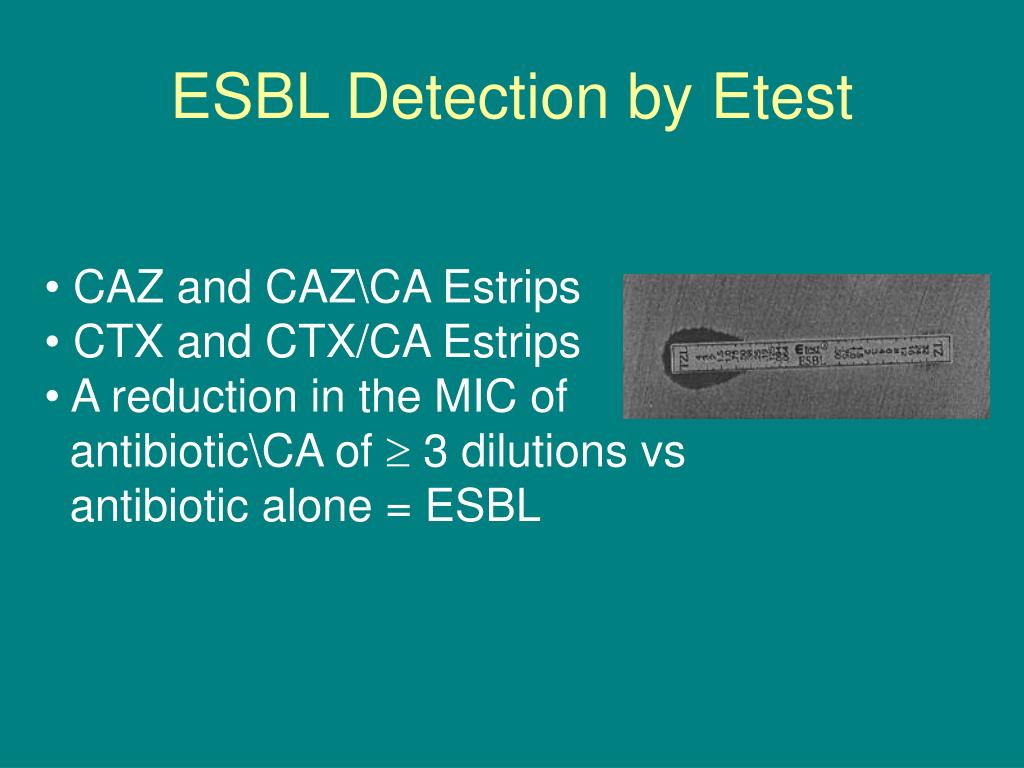 PPT New Resistance in Gram Negative Rods (GNRs) Baha Abdalhamid, Ph