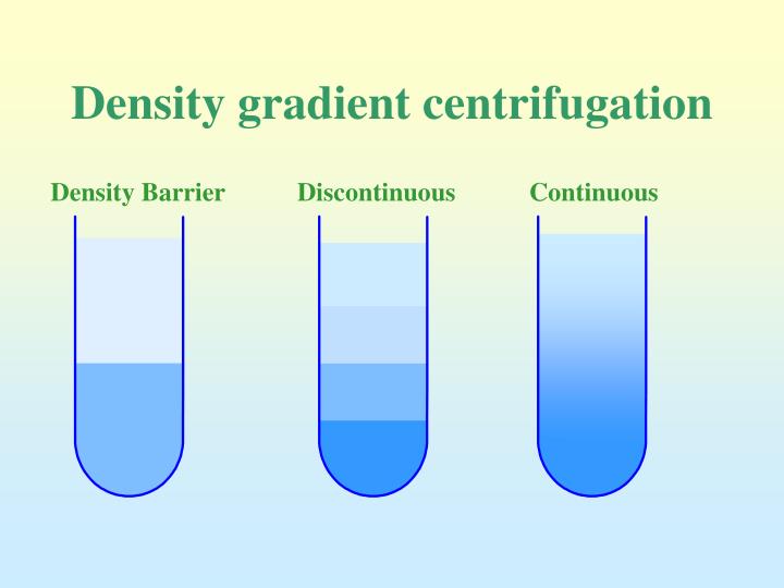 PPT Centrifugation Theory and Practice PowerPoint Presentation ID