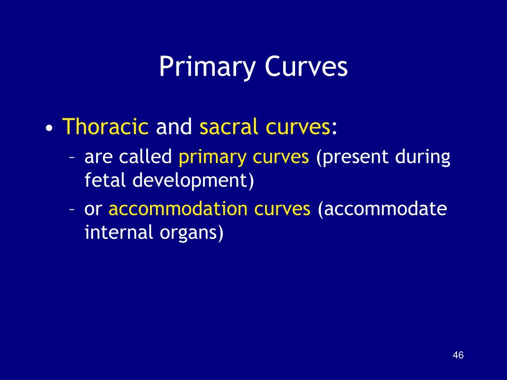 PPT Chapter 7 The Axial Skeleton PowerPoint Presentation, free