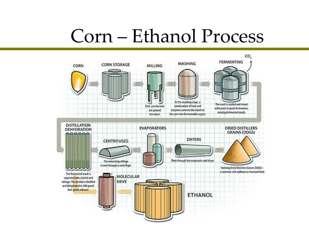PPT Commercial production of biofuels PowerPoint Presentation, free download ID123230