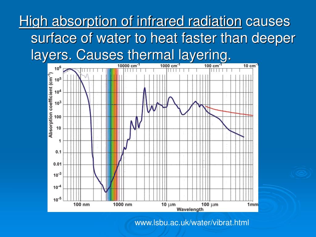 PPT Water as an Environment Properties of Water Vertical