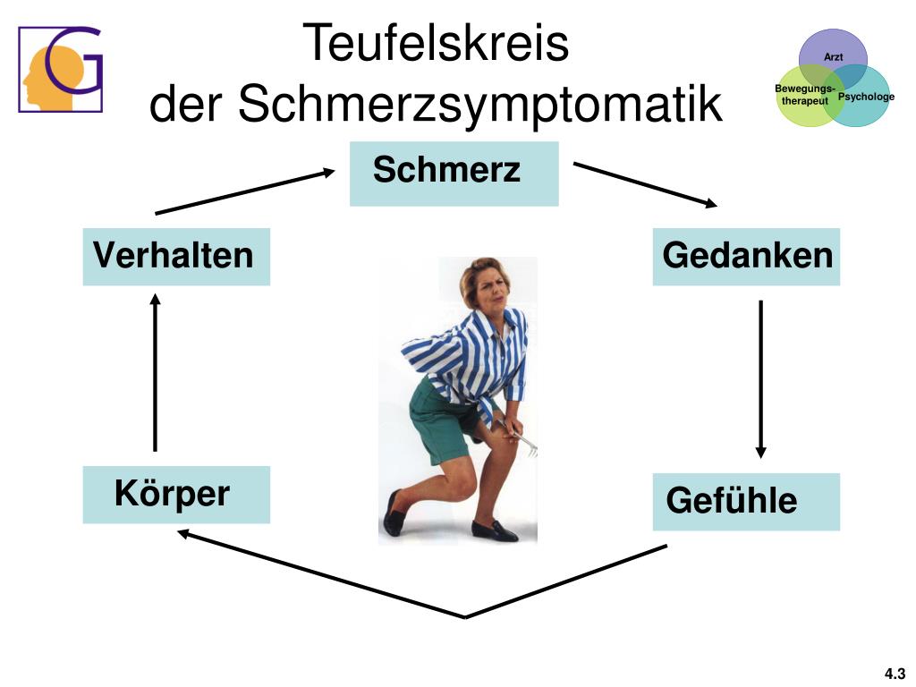 PPT Gesundheitstraining Rückenschule PowerPoint