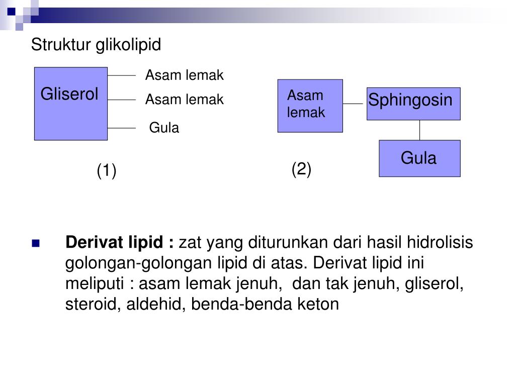 PPT LIPID PowerPoint Presentation, free download ID1244740