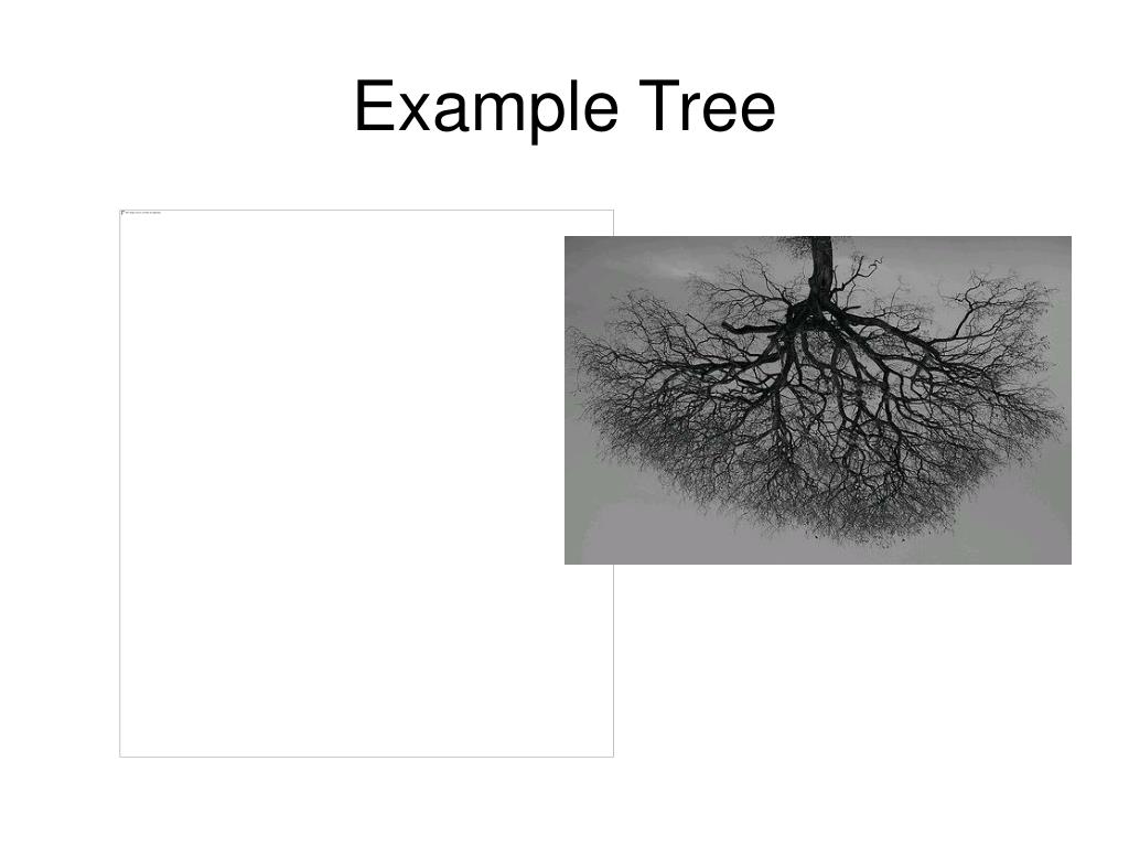 PPT Trees PowerPoint Presentation, free download ID1246215