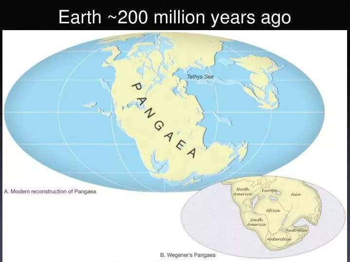 PPT Earth 200 million years ago PowerPoint Presentation, free
