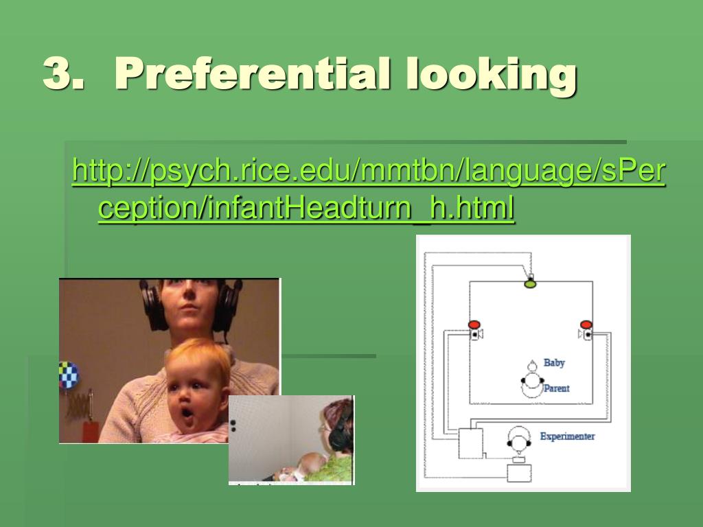 PPT Language Acquisition PowerPoint Presentation, free download ID