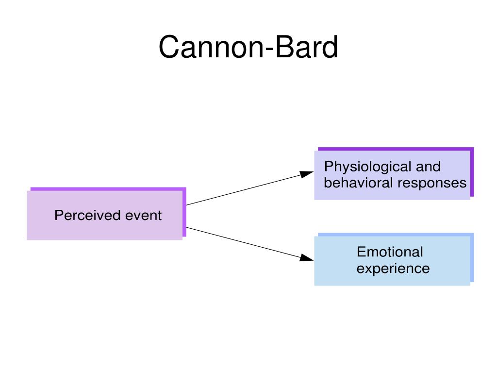 PPT Motivation and Emotion PowerPoint Presentation, free download