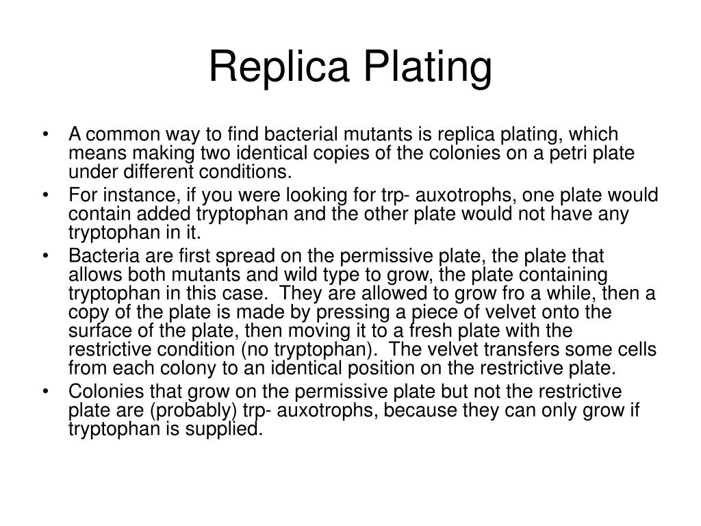 PPT Bacterial PowerPoint Presentation, free download ID