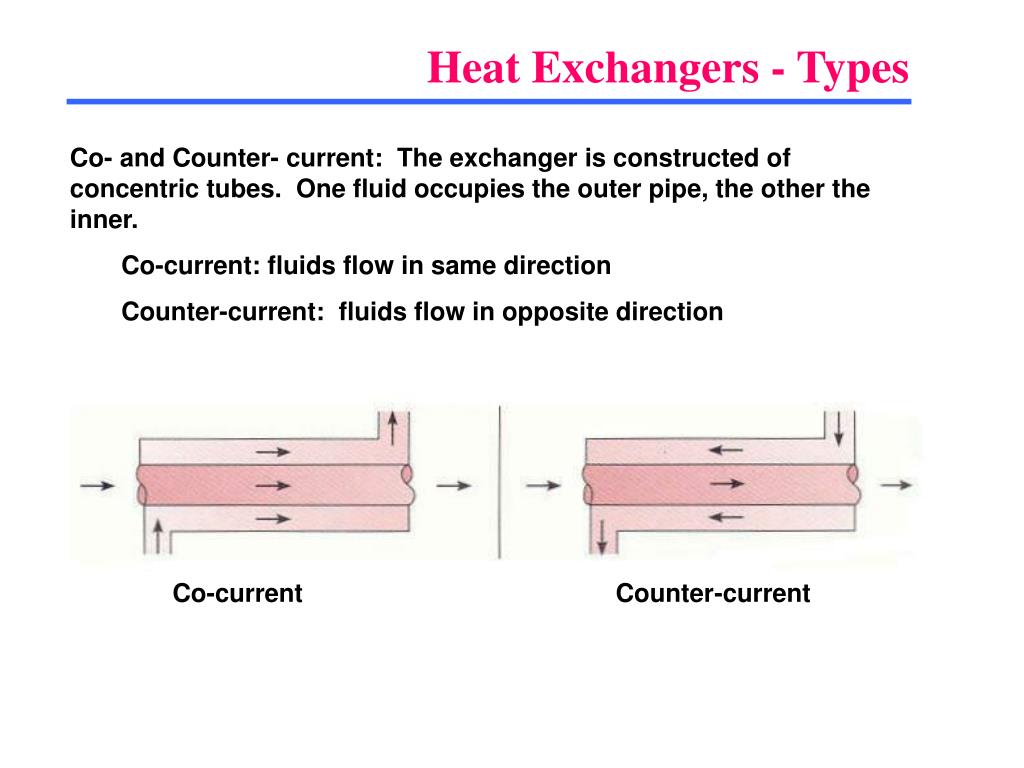 PPT Heat Exchangers PowerPoint Presentation, free download ID1251195