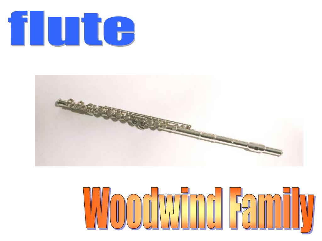 PPT What family do I belong to? PowerPoint Presentation, free