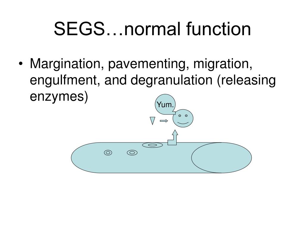 PPT INTERPRETATION OF LAB TESTS PowerPoint Presentation, free