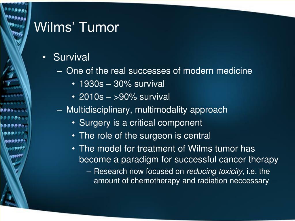 PPT Pediatric Abdominal Tumors A Focus on Wilms’ Tumor PowerPoint