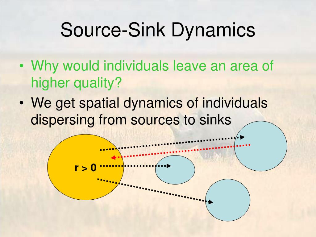 PPT SourceSink Dynamics PowerPoint Presentation, free download ID1265345