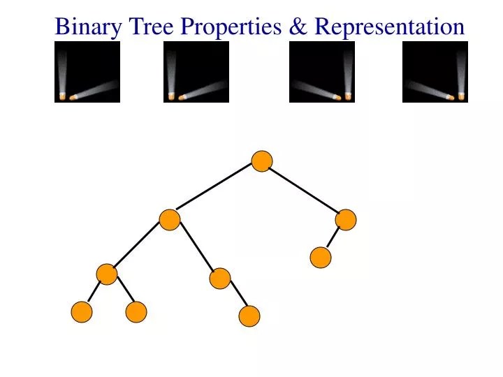 PPT Binary Tree Properties & Representation PowerPoint
