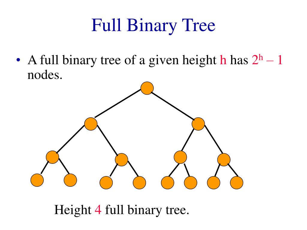 PPT Binary Tree Properties & Representation PowerPoint