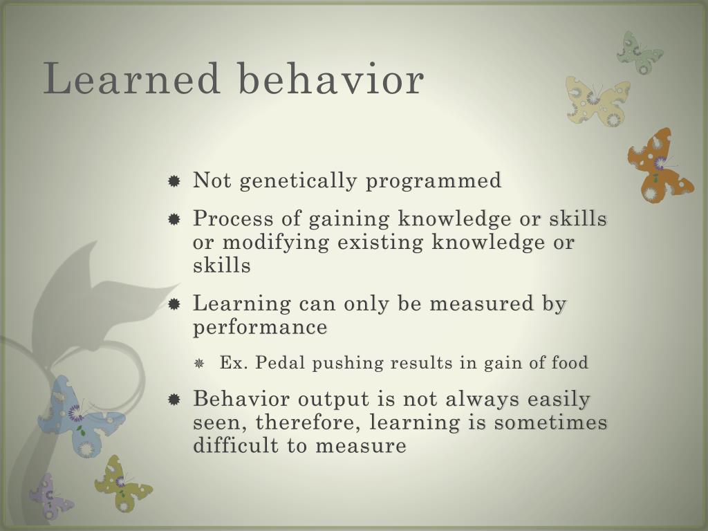 PPT Innate and learned behavior PowerPoint Presentation, free
