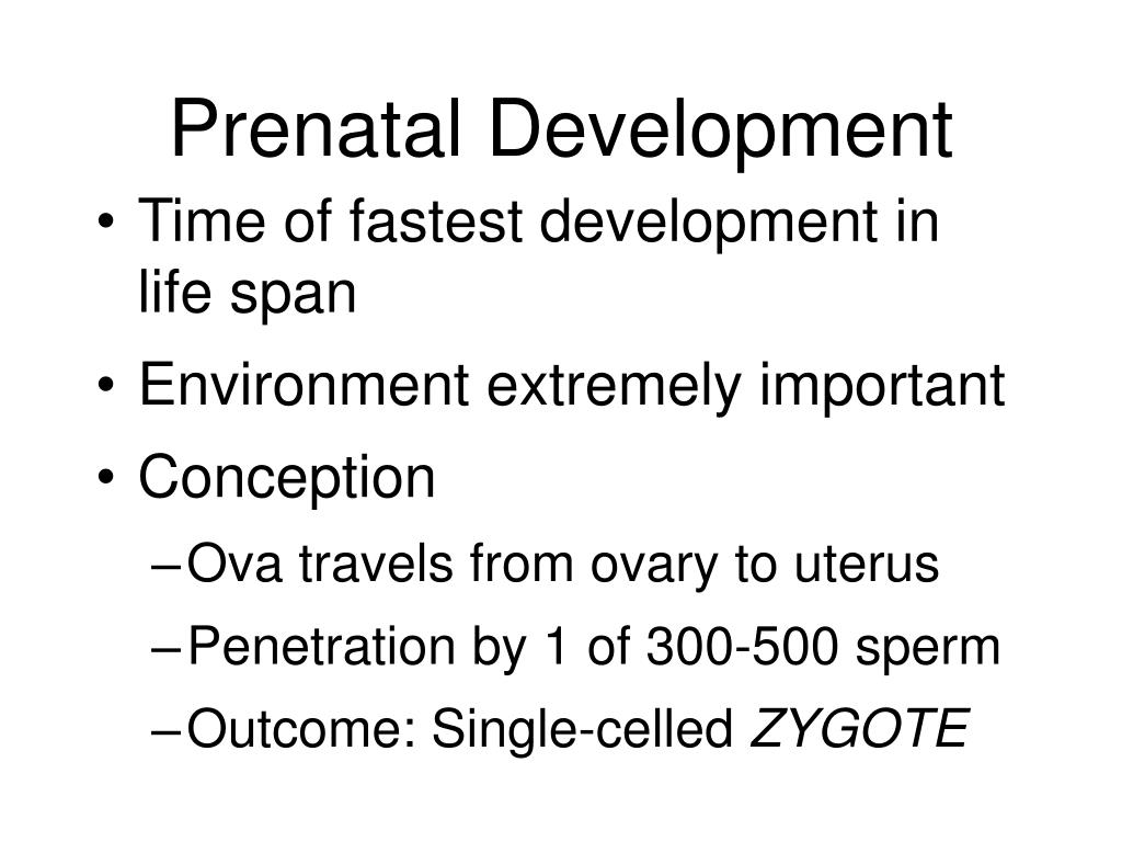 PPT CHAPTER 4 PRENATAL DEVELOPMENT AND BIRTH PowerPoint Presentation