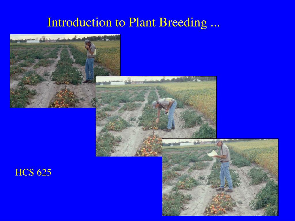 PPT Introduction to Plant Breeding PowerPoint Presentation, free