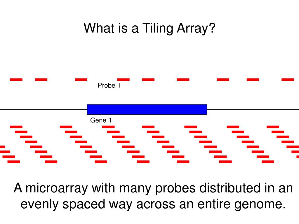 PPT Tiling Arrays PowerPoint Presentation, free download ID1275163