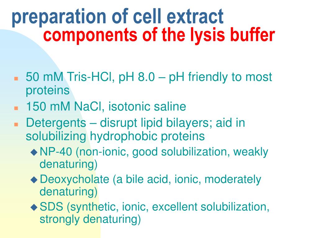 PPT SDSPAGE PowerPoint Presentation, free download ID1282532