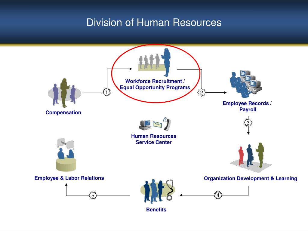 PPT Florida International University HR Liaison Handson
