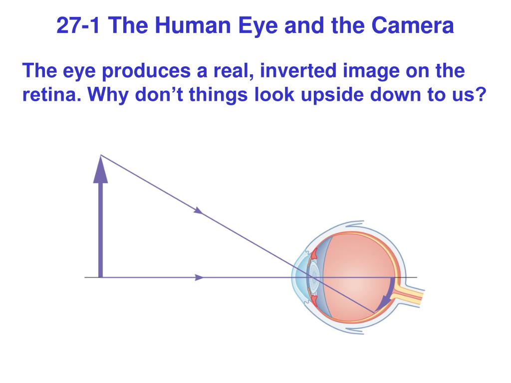 PPT Chapter 27 Optical Instruments PowerPoint Presentation, free