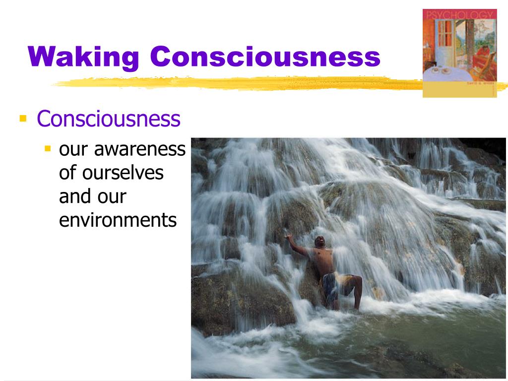 PPT Myers’ PSYCHOLOGY (7th Ed) PowerPoint Presentation, free download