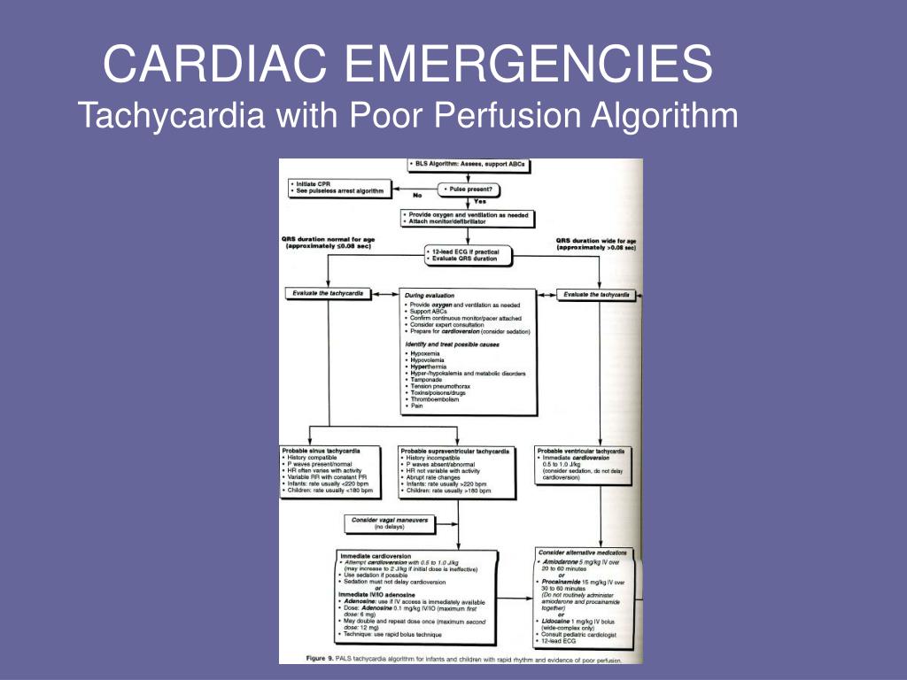 PPT CARDIAC EMERGENCIES AND POSTPROCEDURAL CARE IN THE NICU