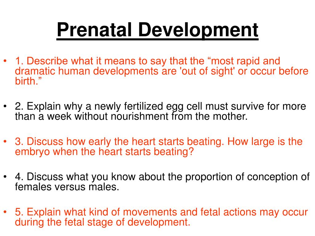 PPT Psychology 262 Natalie B. Phelps M.S. Ed. NCC Chapter 3 Prenatal