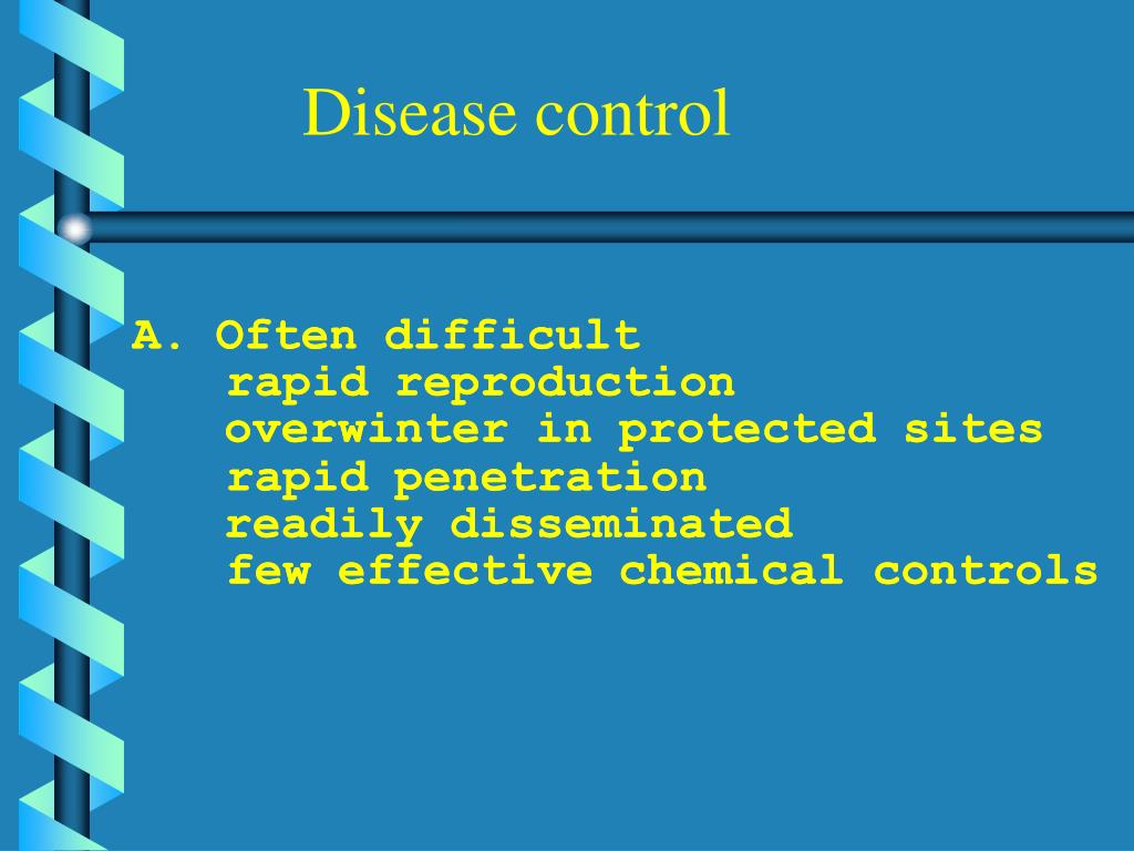 PPT Bacterial Plant Pathogens PowerPoint Presentation, free download