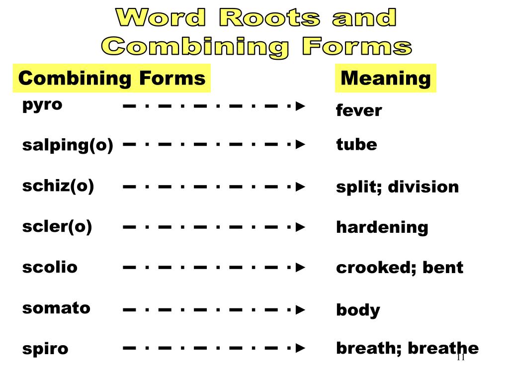 PPT Building Medical Terms PowerPoint Presentation, free download