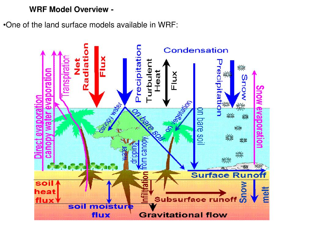 PPT The Boundary Layer in WRF PowerPoint Presentation ID1289463