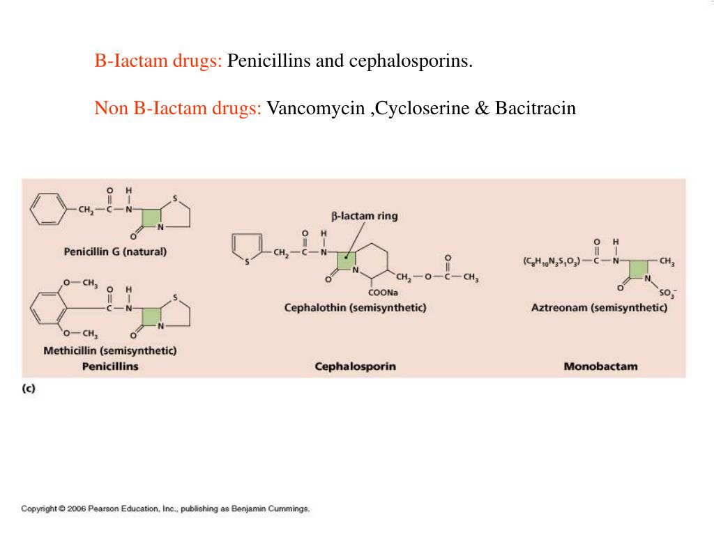 PPT Antimicrobial drugs PowerPoint Presentation, free download ID