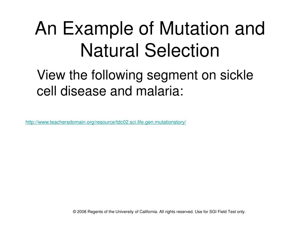 PPT Natural Selection PowerPoint Presentation, free download ID1291716