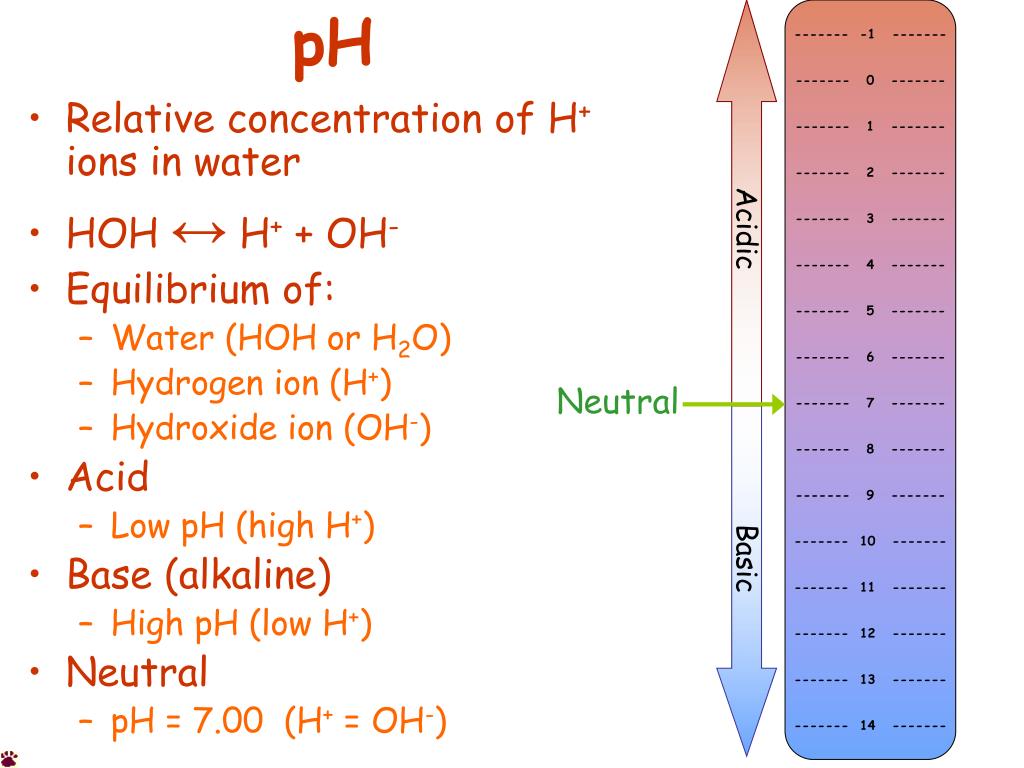 PPT Relative concentration of H + ions in water HOH ↔ H + + OH