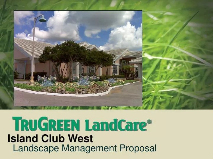 PPT Island Club West PowerPoint Presentation, free download ID12949