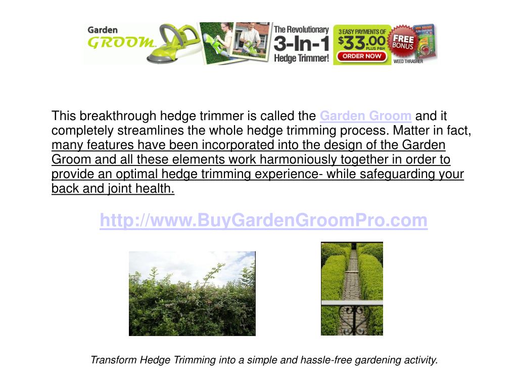 PPT Garden Groom Exceeding all Hedge Cutting Expectations PowerPoint