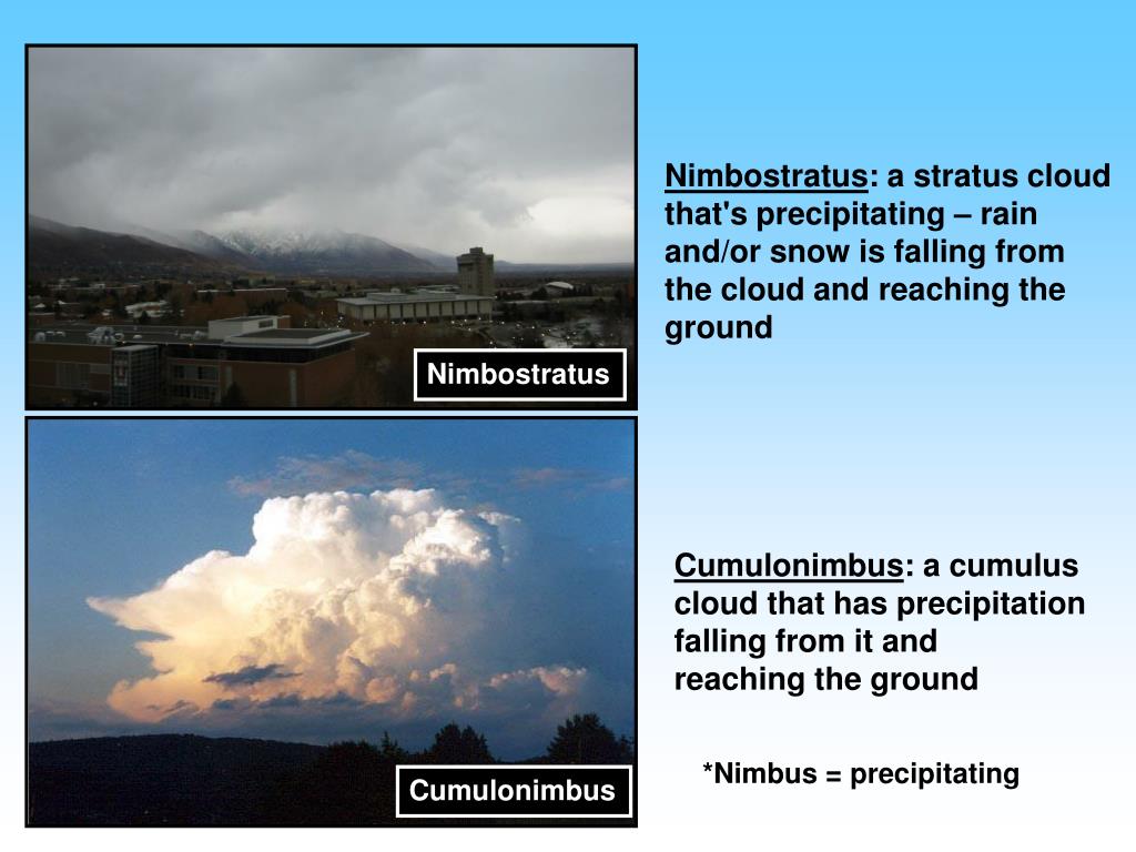 PPT Basic Cloud Types PowerPoint Presentation, free download ID1301723