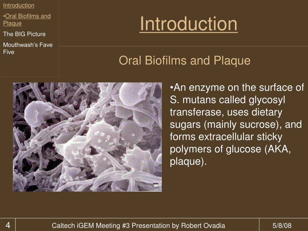 PPT Mouthwash Dental Plaque A Microbial Biofilm PowerPoint