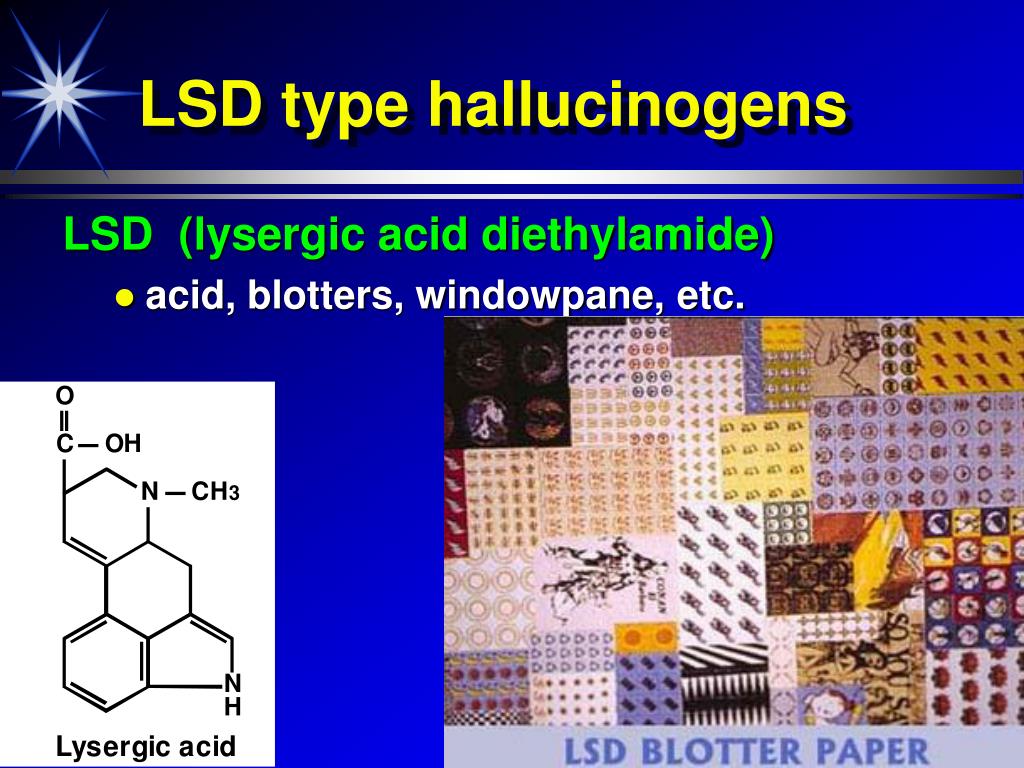 PPT Psych 181 Dr. Anagnostaras Lec 11 PCP and Hallucinogens