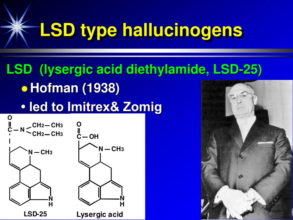 PPT Psych 181 Dr. Anagnostaras Lec 11 PCP and Hallucinogens