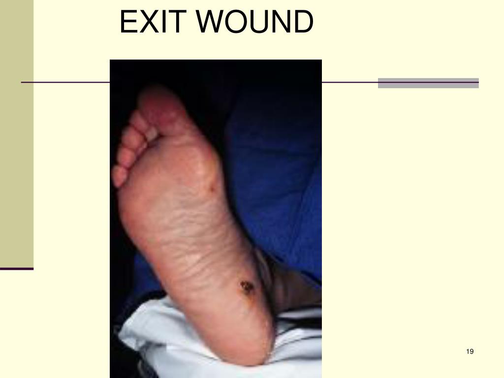 PPT Electrical SafetyRelated Work Practices PowerPoint Presentation