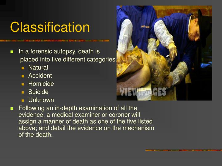 PPT The Forensic Autopsy PowerPoint Presentation ID1316679