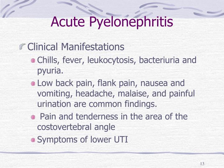 PPT Chapter 45 PowerPoint Presentation ID1318960