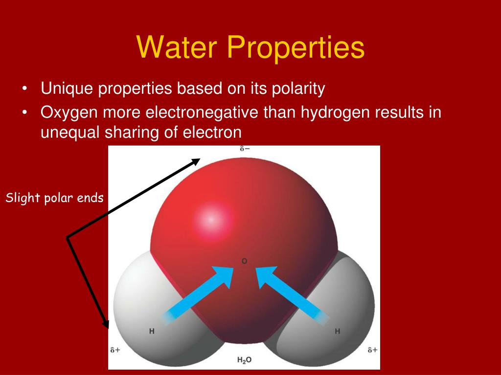 PPT Molecules of Life PowerPoint Presentation, free download ID1321531