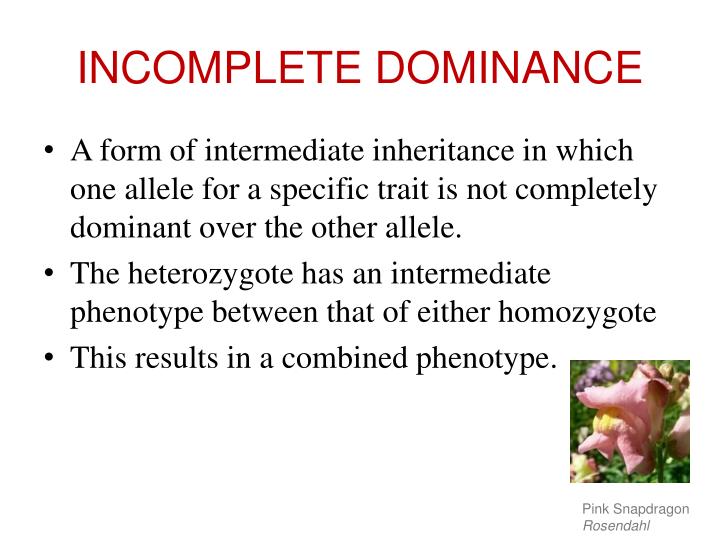 Which is an example of dominance apex