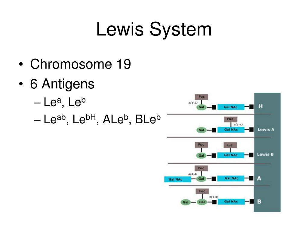 PPT A Closer Look at the Blood Group Systems An IRL’s Point of View